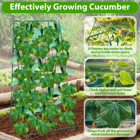 ROADPLUM cucumber trellis foldable design allows easy storage when not in use.