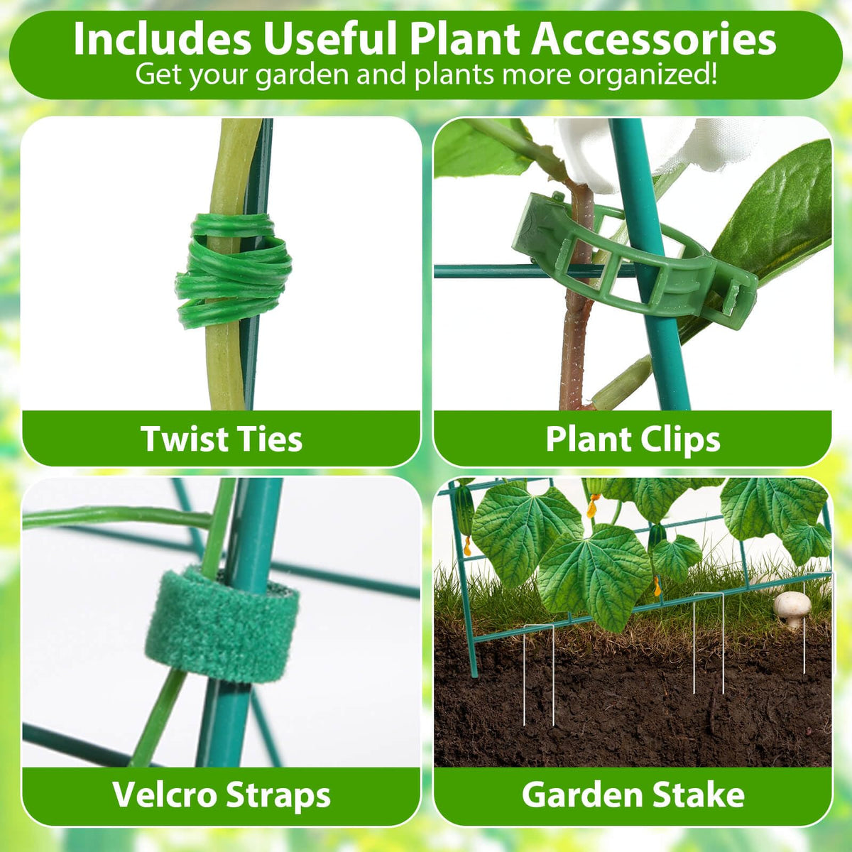 ROADPLUM cucumber trellis with stakes and clips provides stable support in wind.