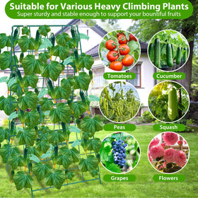 ROADPLUM cucumber trellis compatible with cucumbers, beans, tomatoes, grapes for versatile gardening.