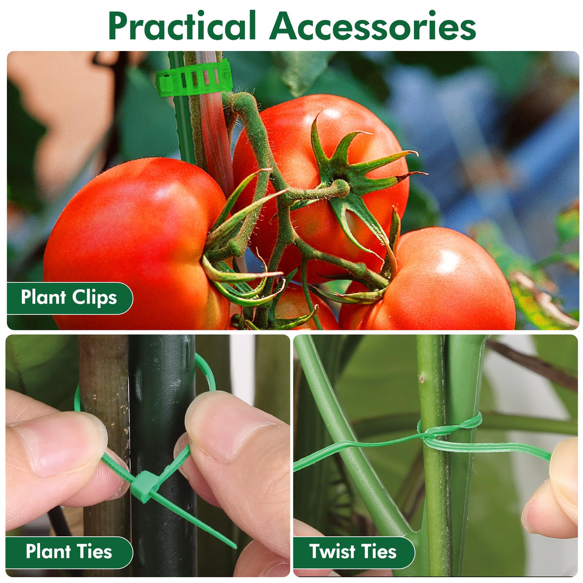 Roadplum includes twist ties, plant clips, and ties for effortless training.