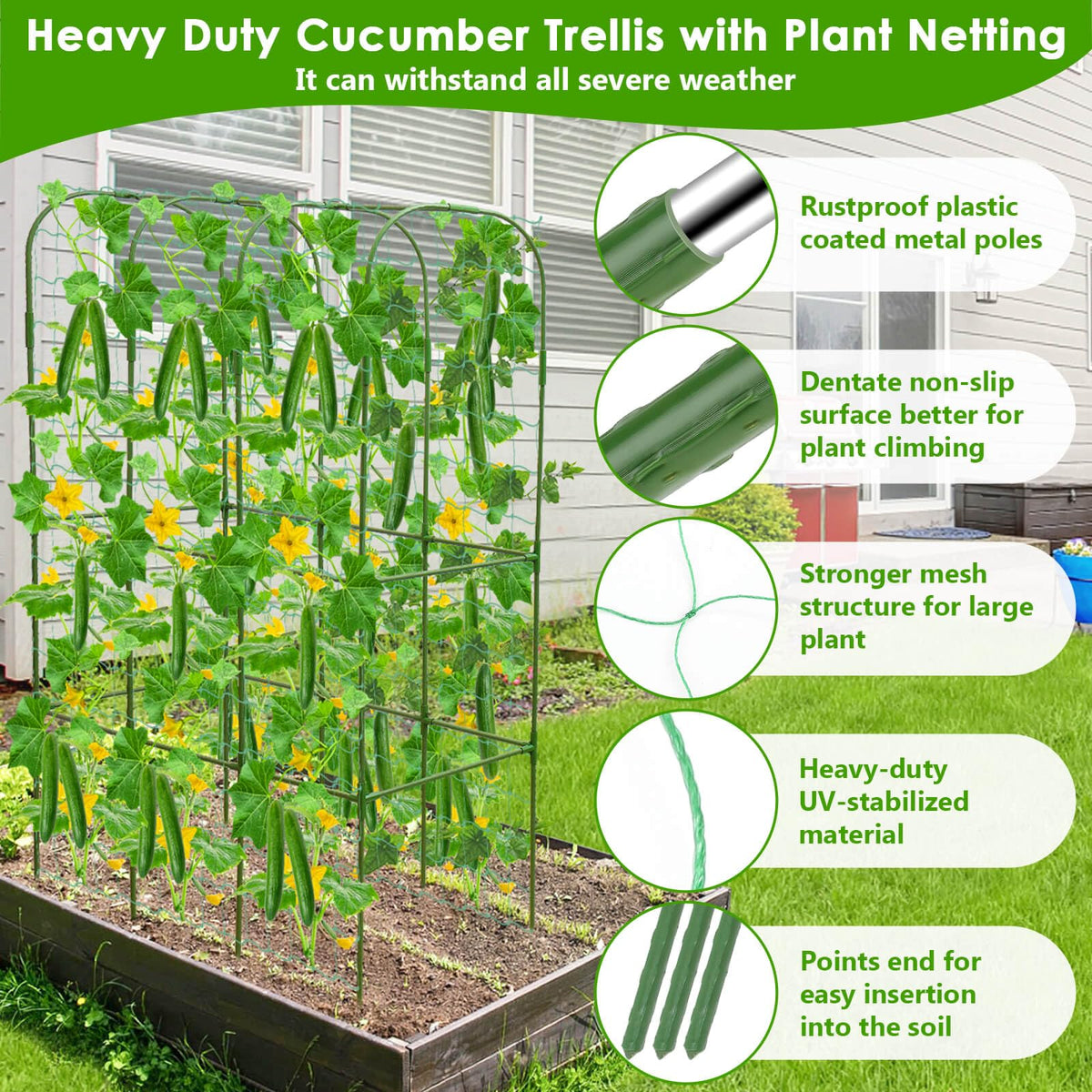 ROADPLUM plant ties organize vines without damaging stems.