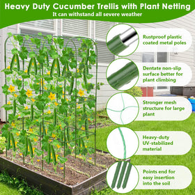 ROADPLUM plant ties organize vines without damaging stems.