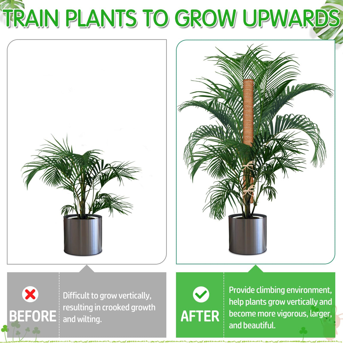 ROADPLUM plant ties 2m pack secures new growth