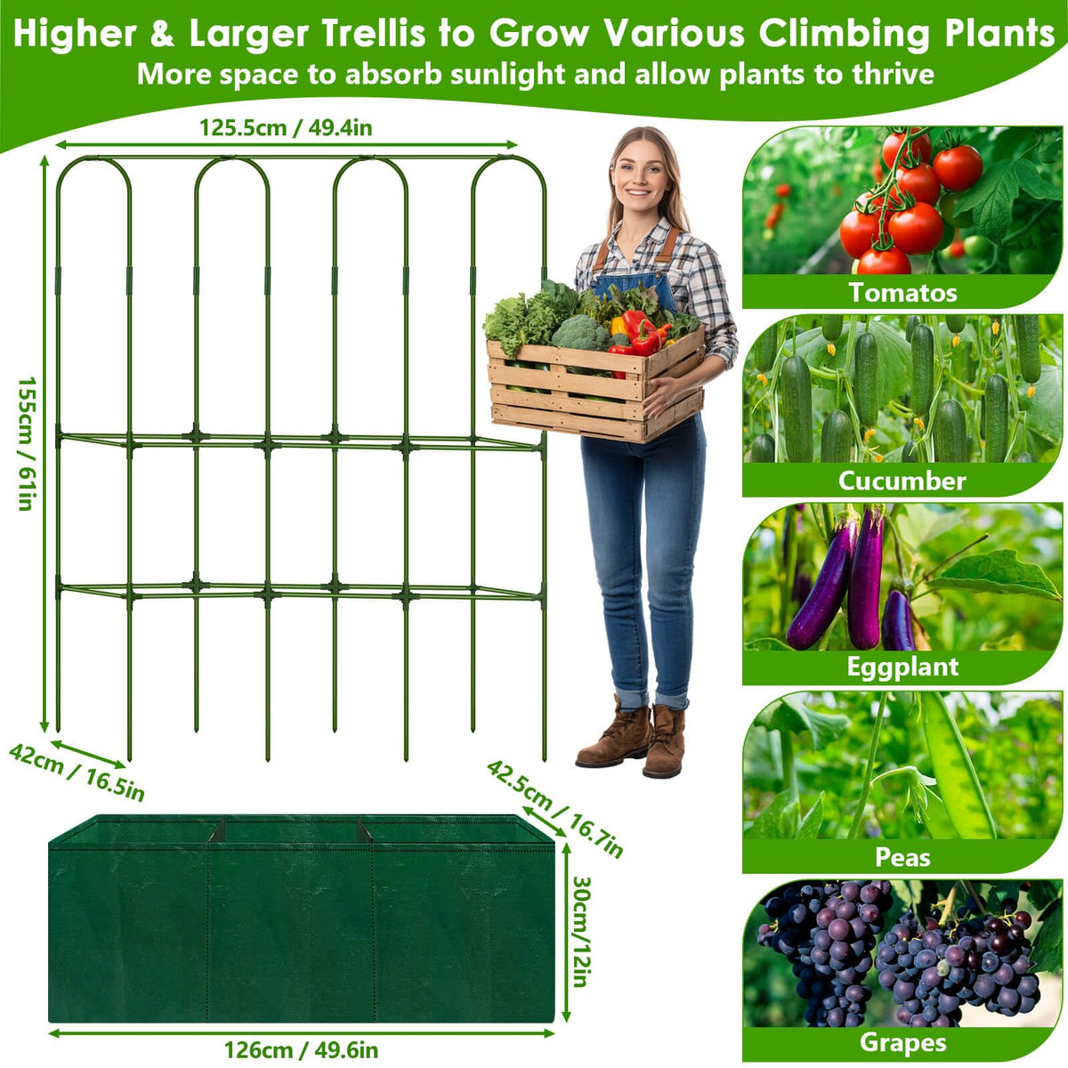 ROADPLUM twisted wires provide flexible anchoring for trellis setup.