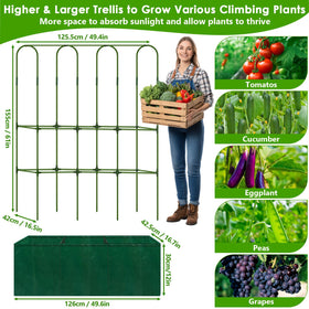 ROADPLUM twisted wires provide flexible anchoring for trellis setup.