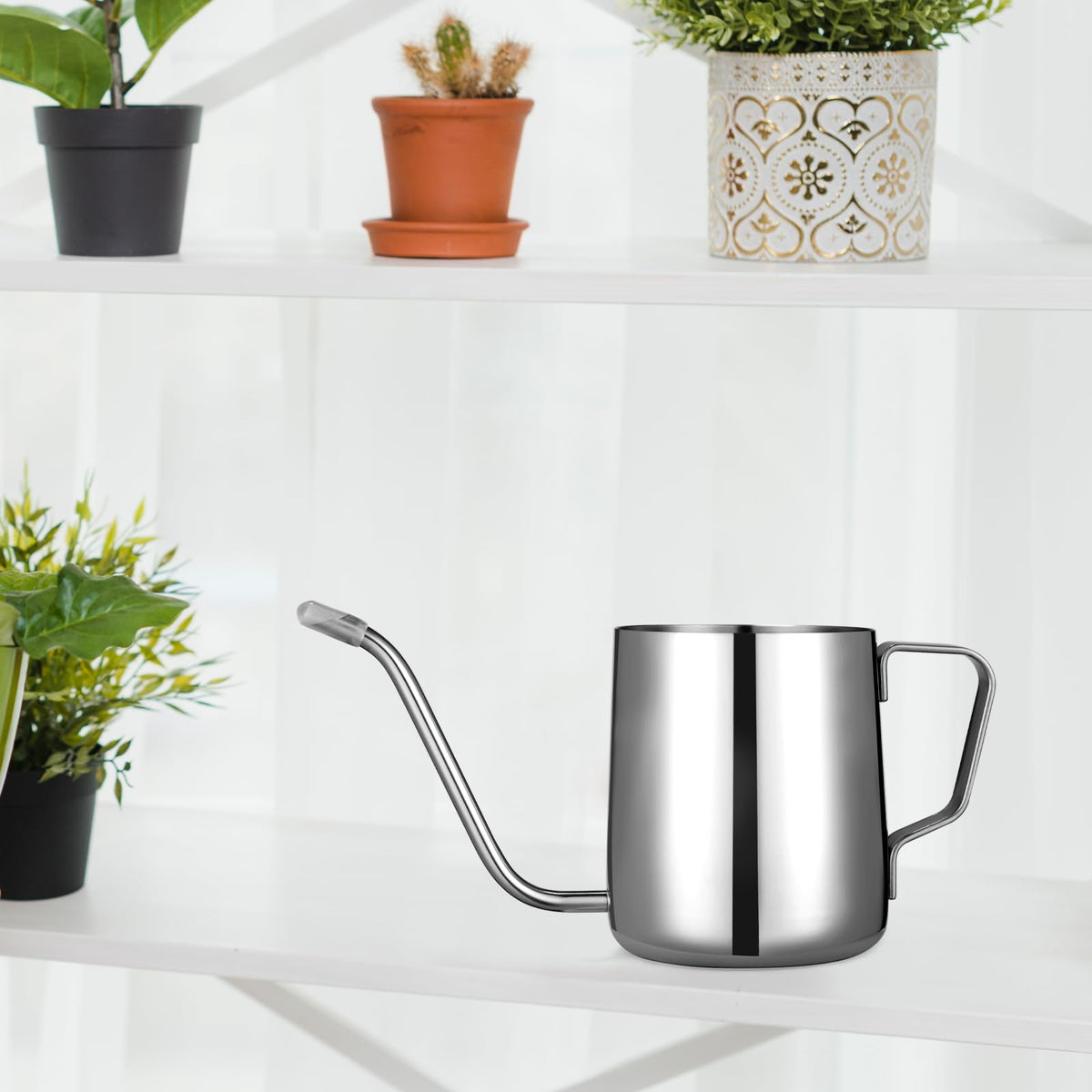 Roamall 12oz capacity supports frequent watering without heavy lifting