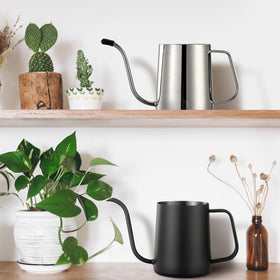Roamall versatile indoor tool for watering, filling vases, humidifiers, and terrariums.
