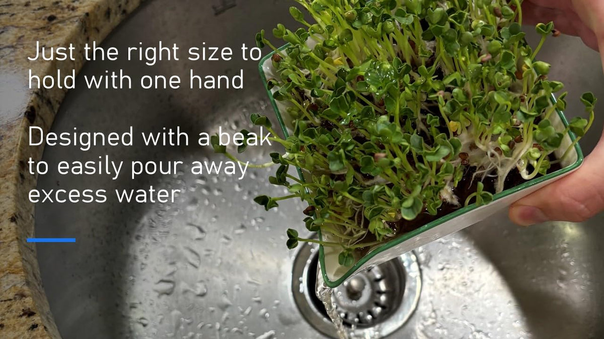 Rock Greens corner spout enables easy water changes and clean handling