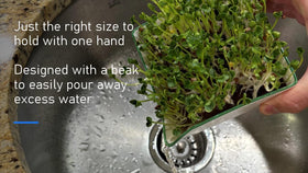 Rock Greens corner spout enables easy water changes and clean handling