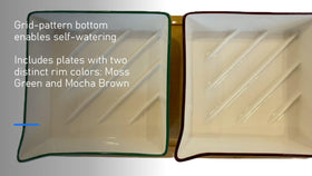 Rock Greens cozy environment supports seed germination and growth