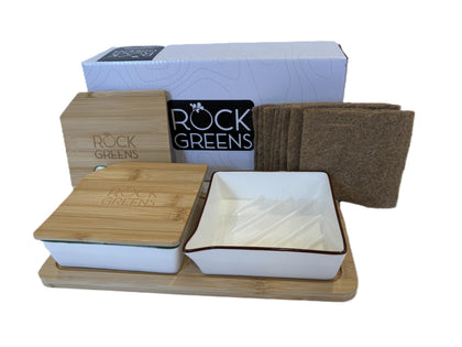 Rock Greens microgreens growing system tray with self-watering feature for fresh harvests