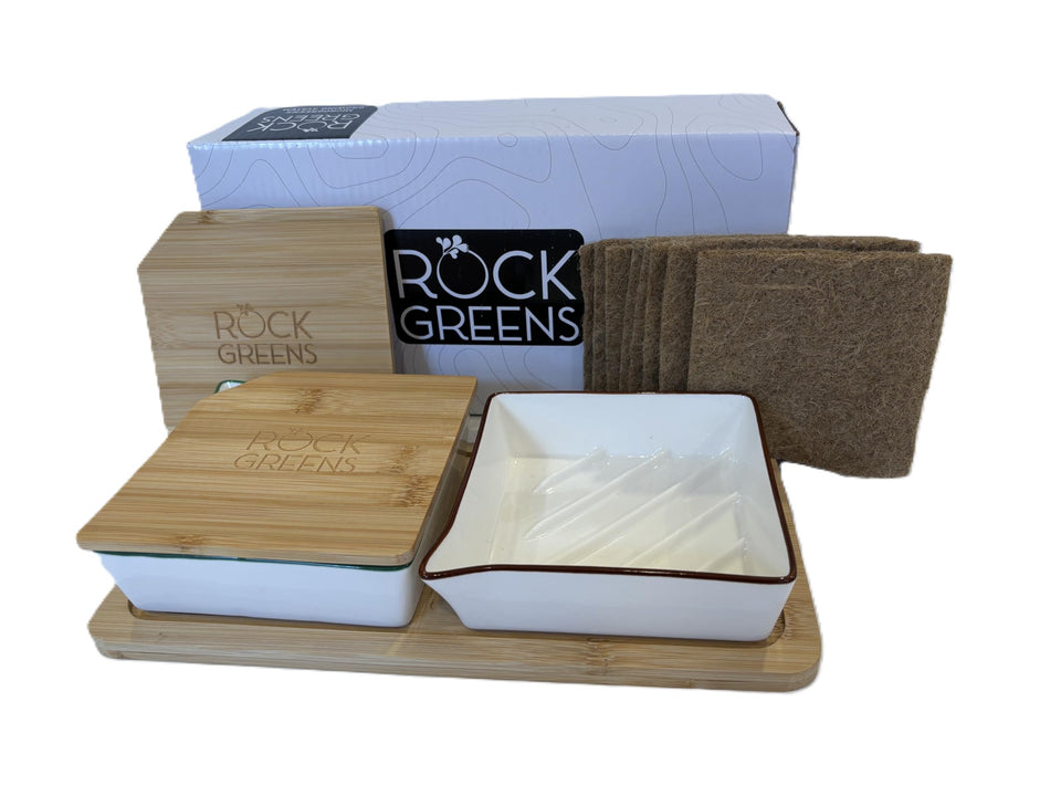 Rock Greens microgreens growing system tray with self-watering feature for fresh harvests