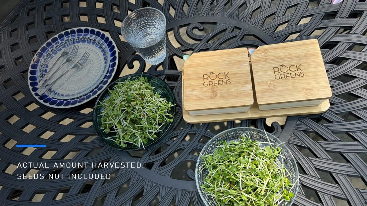 Rock Greens plastic-free ceramic system suitable for kitchen growing