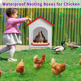 Rockever Nesting Box in red adds visibility and style to coops.