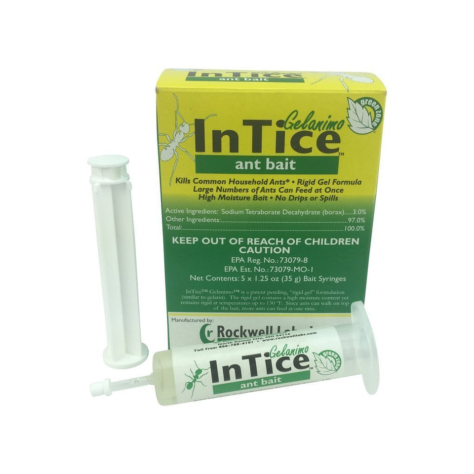 Rockwell Labs Intice Gelanimo ant bait syringes for indoor and outdoor control of common ants