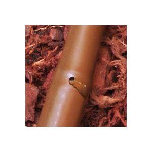 Rocky Mountain Goods hose connected to a faucet for seamless irrigation setup.