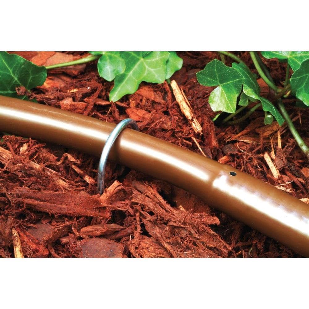 Drip hose unrolled across garden beds for easy installation and setup.