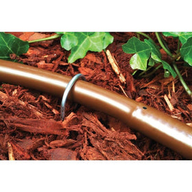 Drip hose unrolled across garden beds for easy installation and setup.