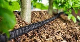 Rocky Mountain Goods 70% water savings with direct root delivery.