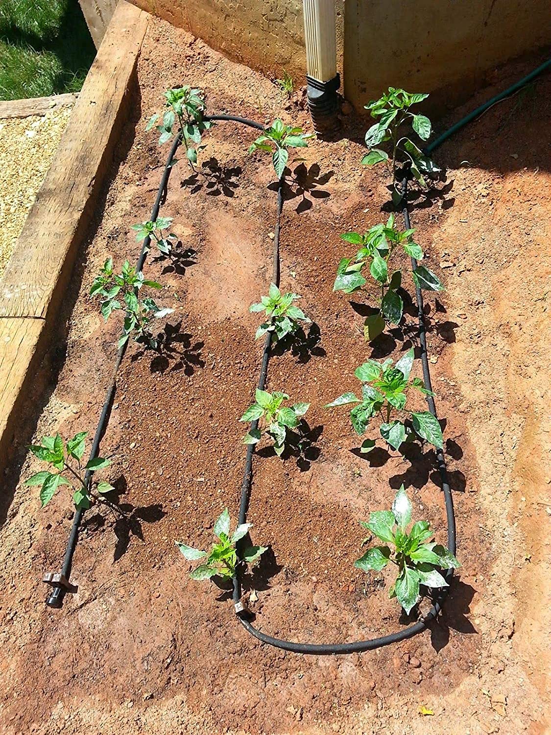Rocky Mountain Goods garden-use scenario waters vegetables at the roots.