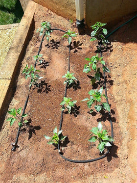 Rocky Mountain Goods garden-use scenario waters vegetables at the roots.