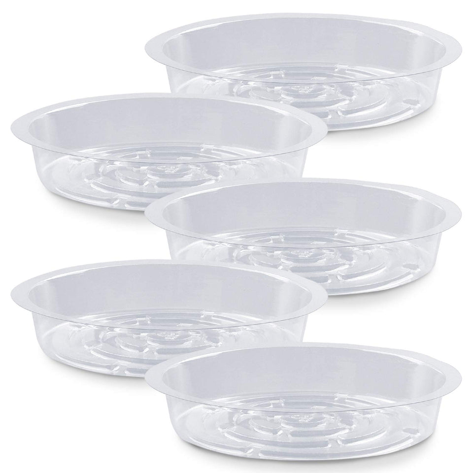 Rocutus 8-inch clear plant saucer shows water level for easy monitoring.