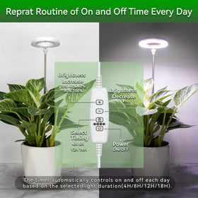 RODINTO timer function with 4-speed options and 18-hour slot