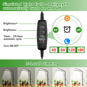 RODINTO gooseneck and height adjustability target sprouts and mature plants precisely.