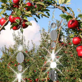 Rodudu Bird Scare Disc medium-30 setup deters birds around patios with mirror-like flashes.