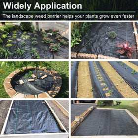 Rohuis barrier used on a driveway for durable weed control and edges