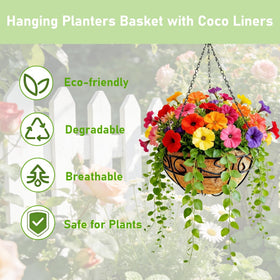 Rolanrosa coco liner enhances drainage and airflow for healthy roots.