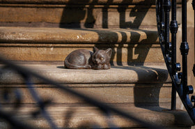 Roman Garden bronze sleeping cat statue, side view, durable resin stone for gardens.
