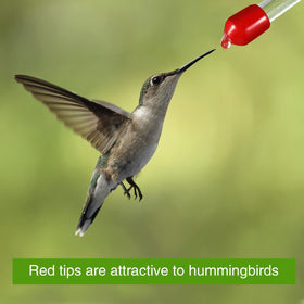 Romooa replacement parts set makes thoughtful gift for bird lovers and DIY enthusiasts.