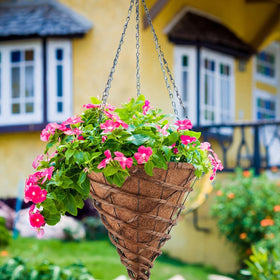 Romooa versatile decor for weddings or everyday greenery.