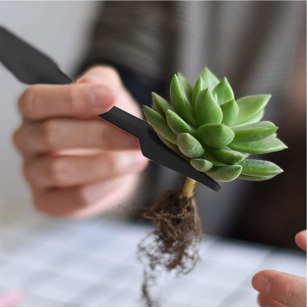 Rongbo tool heads allow precise watering and careful cleaning