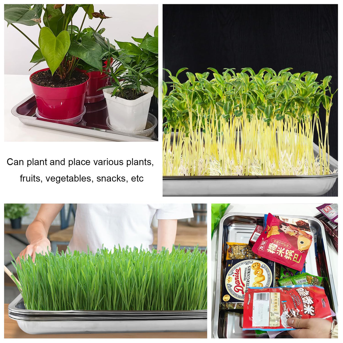 RooTrimmer 5-pack seed tray set offers value for potting and propagation.
