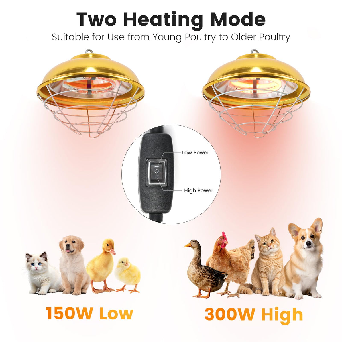 Roodike premium waterproof heater with aluminum cover stands up to wet coop conditions