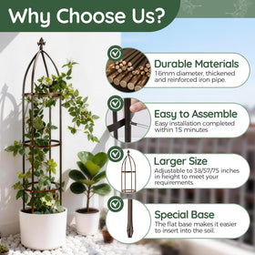 ROOLLYA sturdy plant support trellis keeps tomatoes and cucumbers tidy.