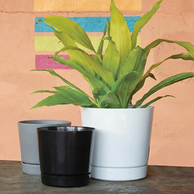 Root and Vessel Majestic full-depth pot, top view, supports healthy plants with built-in drainage awareness.