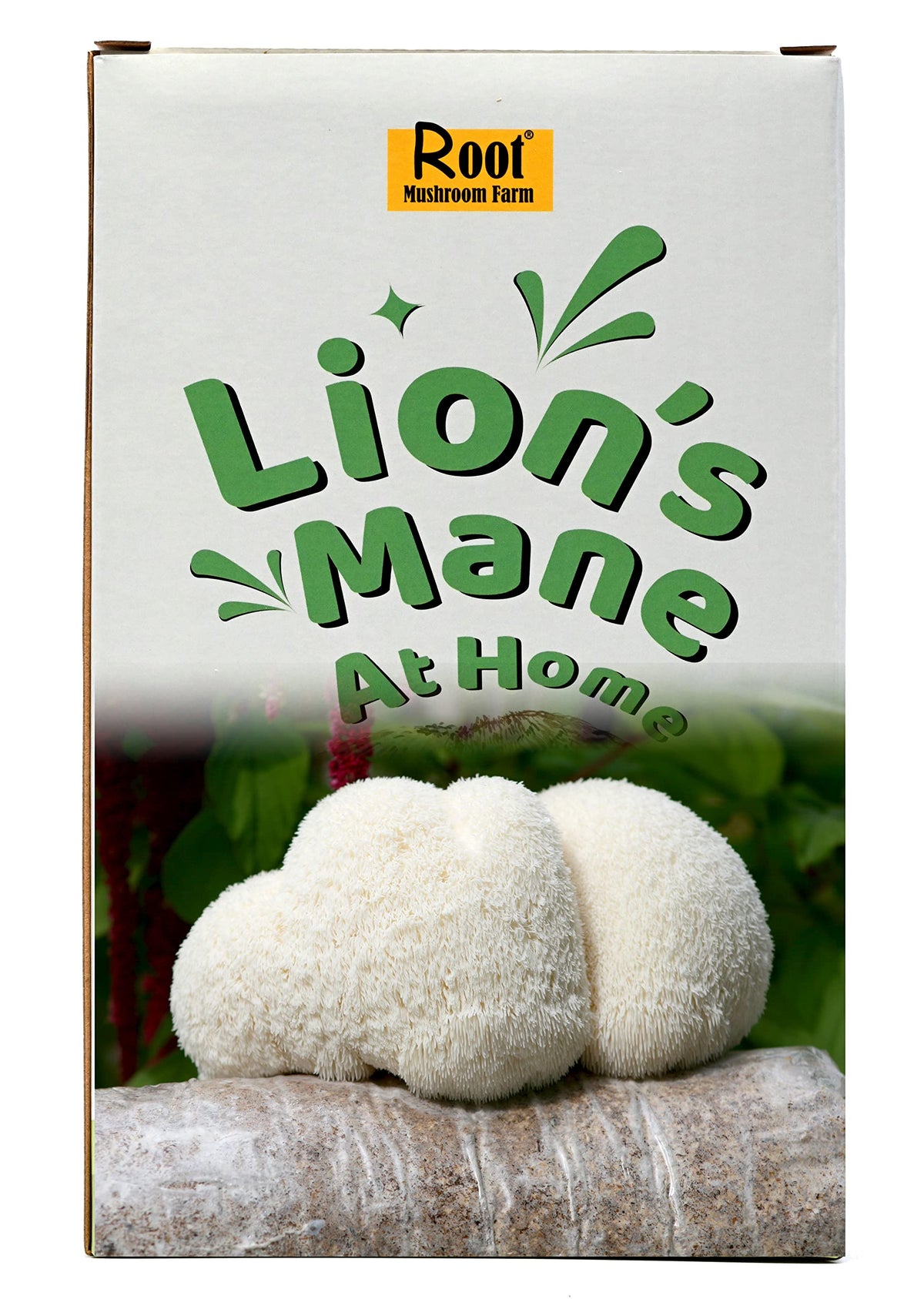 Root Mushroom Farm Lion's Mane grow kit log ready for indoor cultivation.