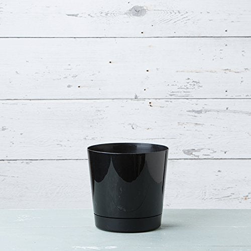 Root & Vessel Majestic pot drainage holes help manage excess water outdoors