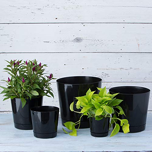 Root & Vessel Majestic pot is made in the USA and recyclable