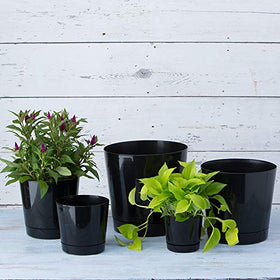 Root & Vessel Majestic pot is made in the USA and recyclable