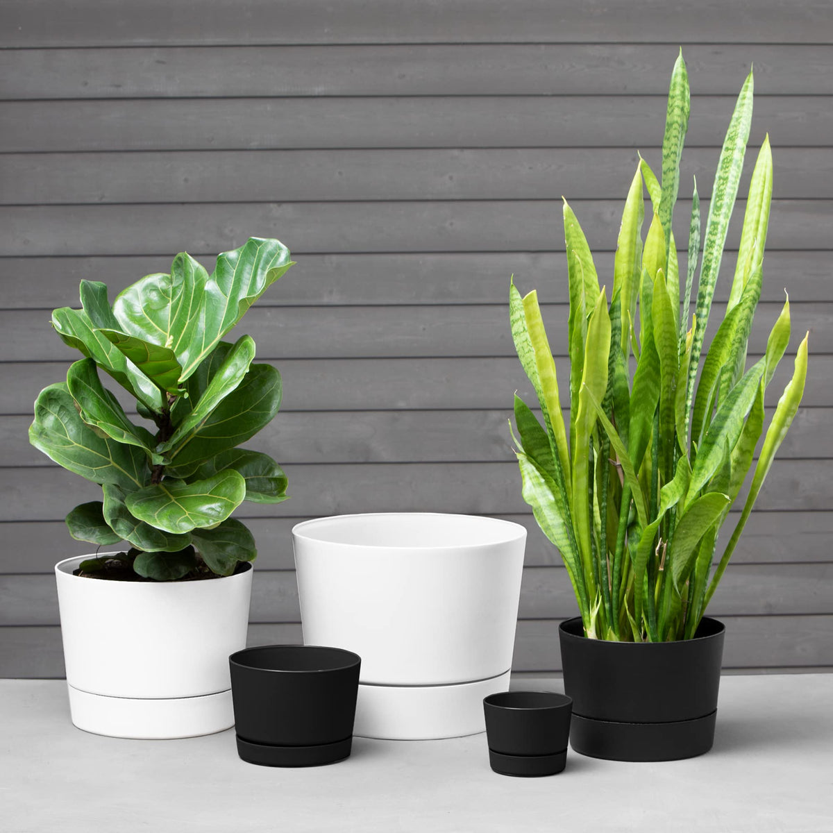 Root & Vessel Majestic pot showing the built-in tray protecting surfaces.