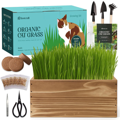 ROOTCRAFT cat grass kit with wooden planter shown in a bright living space