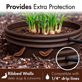 Rooted Promise 7-inch ring delivering water to the base for deep roots