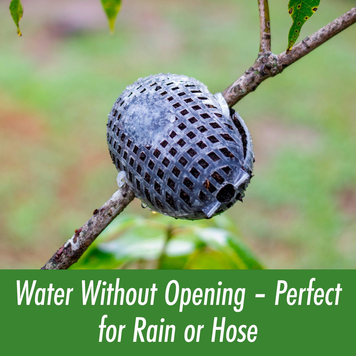 Rooted Promise exterior watering grid maintains moisture during propagation.