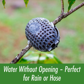 Rooted Promise exterior watering grid maintains moisture during propagation.