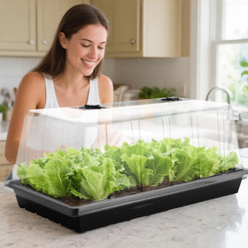 RooTrimmer seed starter setup ideal for balcony gardening and microgreens.