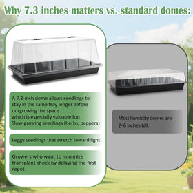 RooTrimmer dome enables easy germination checks without lid removal.